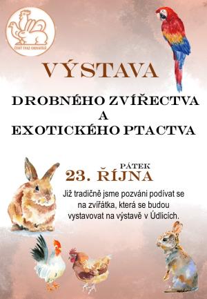 Výstava drobného zvířectva 1